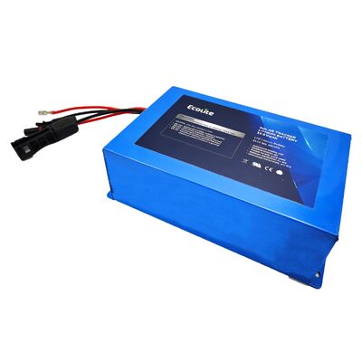 ECOLFP2409 25,6V 9Ah LFP солнечный следопыт средней мощности с интегрированным MPPT для улучшения времени работы